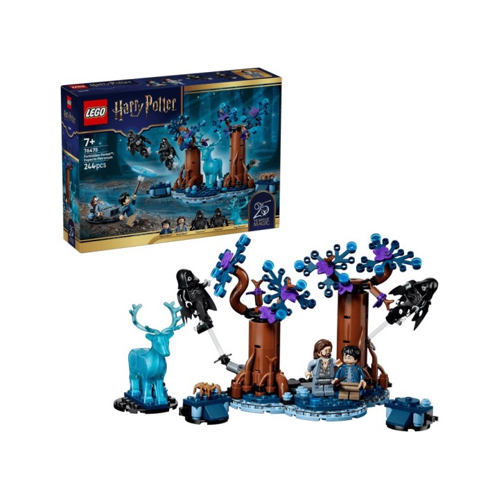 LEGO H.POTTER FORESTA PROIBITA 76475