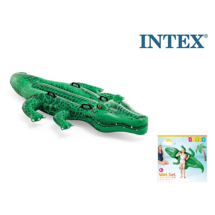 INTEX CAVALCABILE COCCODRILLO 58562