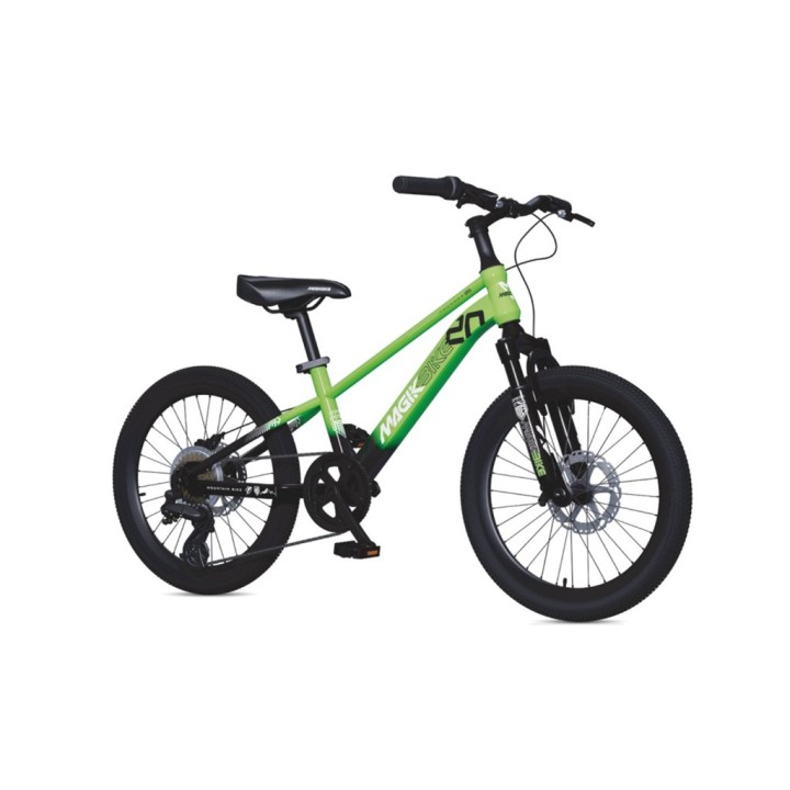 BICI 20 RAGAZZO THUNDER GREEN SPEED B