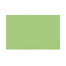 CARTONCINO VERDE 70X100