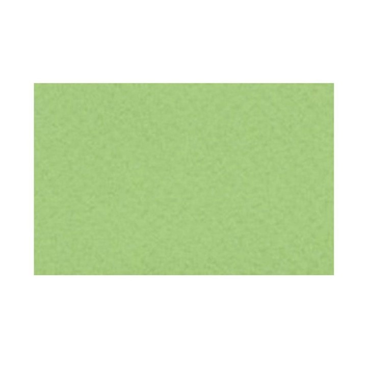 CARTONCINO VERDE 70X100