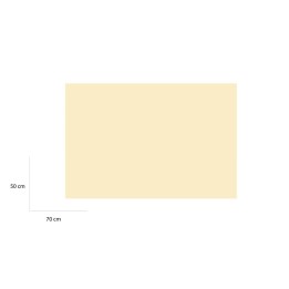 CARTONCINO ONICE 50X70