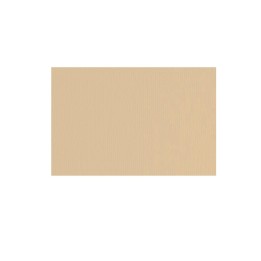 CARTONCINO AVANA 70X100