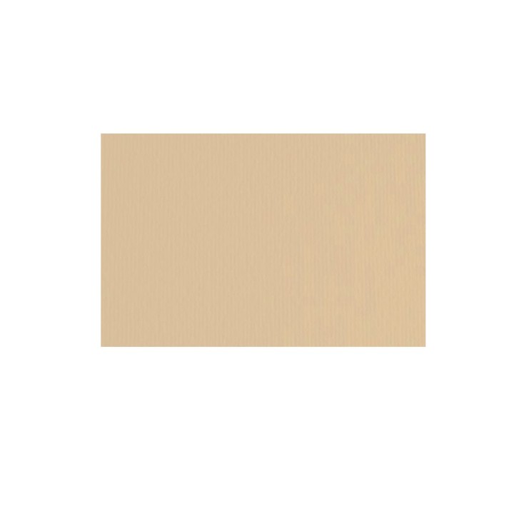 CARTONCINO AVANA 70X100