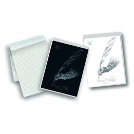 PIGNA BLOCK NOTES 10X15 5MM A6