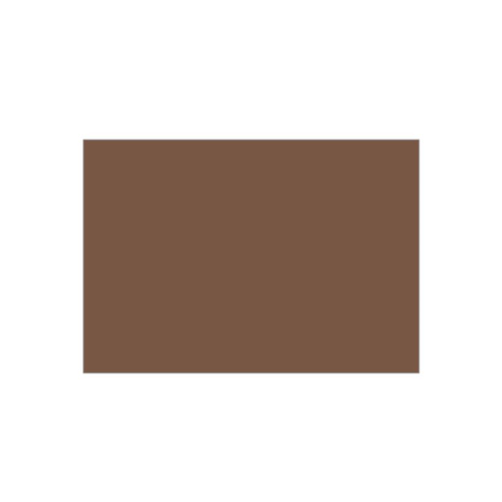 CARTONCINO NOCCIOLA 220G 70X100