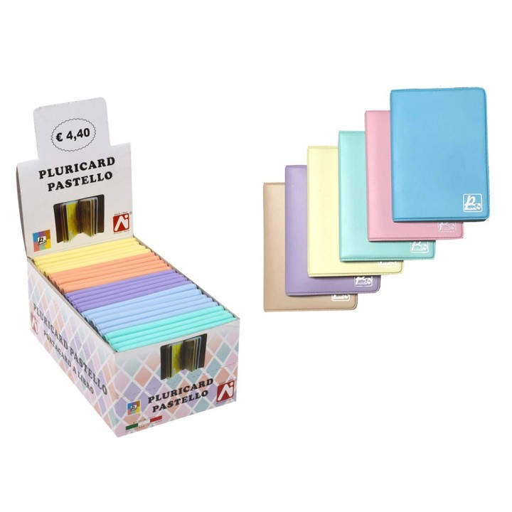PORTA CARD PASTELLO 14 SCOMPARTI 880P