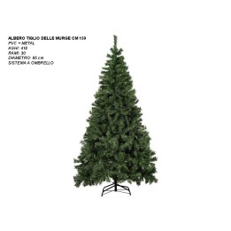 ALBERO TIGLIO DELLE MURGE CM 150