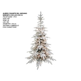 ALBERO FAGGETE DEL GARGANO INN. LUCI 210