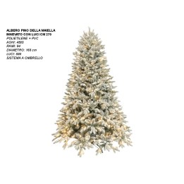 ALBERO PINO DELLA MAIELLA INN. CON LUCI