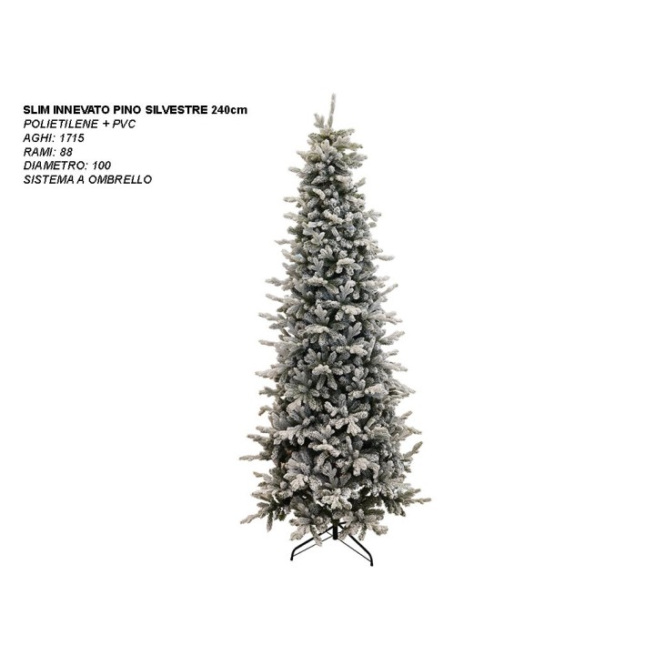ALBERO SLIM INN. PINO SILVESTRE CM 240
