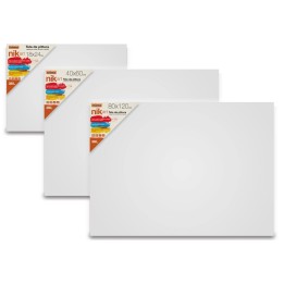 TELE DA PITTURA 380G 40X60CM 54NIK090