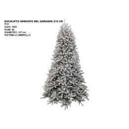ALBERO EUCALIPTO INNEVATODELGARGANOCM210