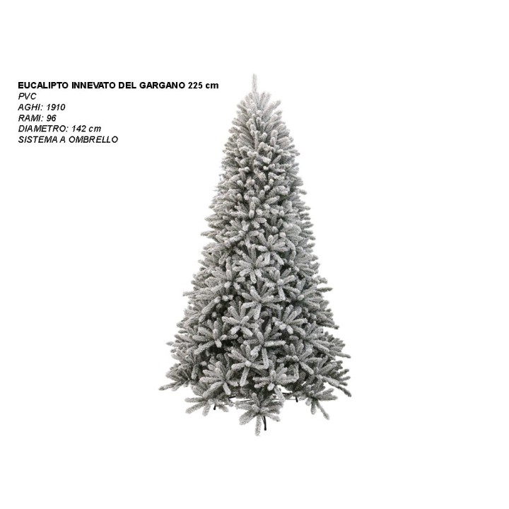 ALBERO EUCALIPTO INN. DEL GARGANO CM 225