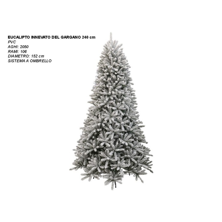 ALBERO EUCALIPTO INN. DEL GARGANO CM 240
