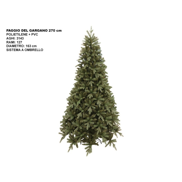 ALBERO FAGGIO DEL GARGANO CM 270