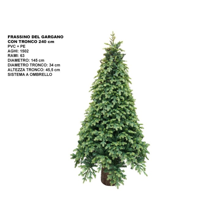 ALBERO FRASSINO DEL GARG.CM 240CONTRONCO