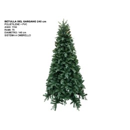 ALBERO BETULLA DEL GARGANO CM 240
