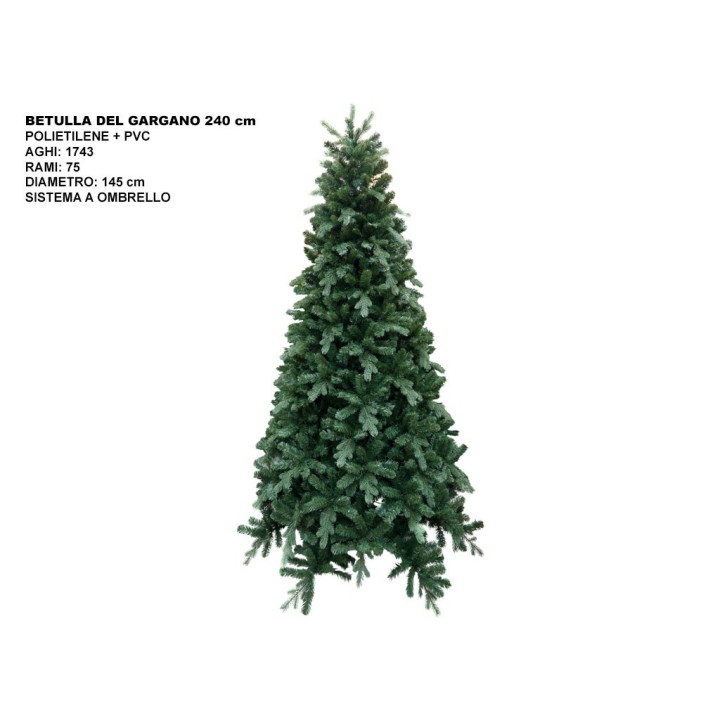 ALBERO BETULLA DEL GARGANO CM 240