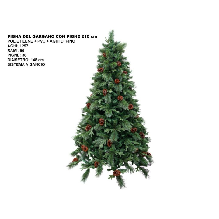 ALBERO PIGNA DEL GARGANO CON PIGNE CM210