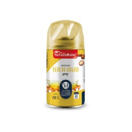DEO AMBIENTE AUTOM 250ML OLIO DI ARGAN