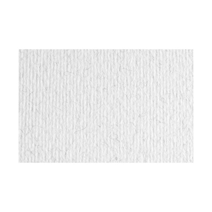 CARTONCINO BRINA 50X70