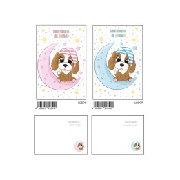BIGLIETTI NASCITA ROSA-AZZURRO C/FOIL
