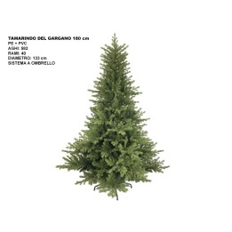 ALBERO TAMARINDO DEL GARGANO CM 180