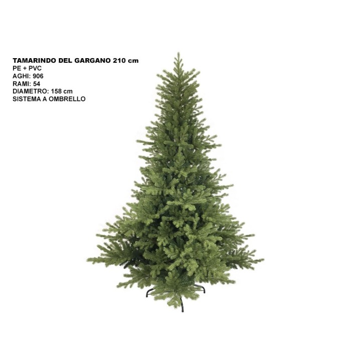 ALBERO TAMARINDO DEL GARGANO CM 210