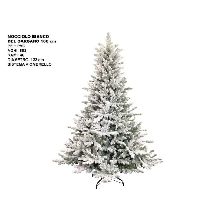 ALBERO NOCCIOLO BIANCO DEL GARGANO CM180