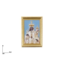 CALAMITA MADONNA DEL SOCCORSO
