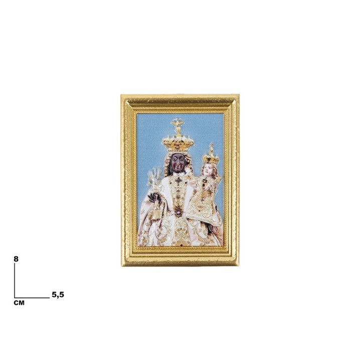 CALAMITA MADONNA DEL SOCCORSO
