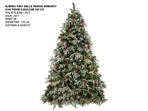 ALBERO PINO DELLE MURGE INN.PIGNE+BACCHE