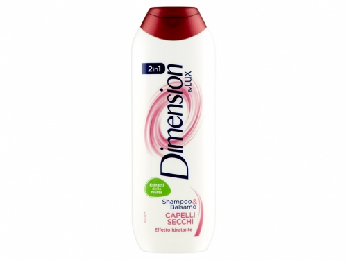DIMENSION SHAMPOO 250ML 2IN1 C/SECCHI
