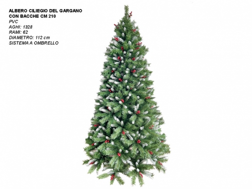 ALBERO CILIEGIO DEL GARG. CON BACCHE 210