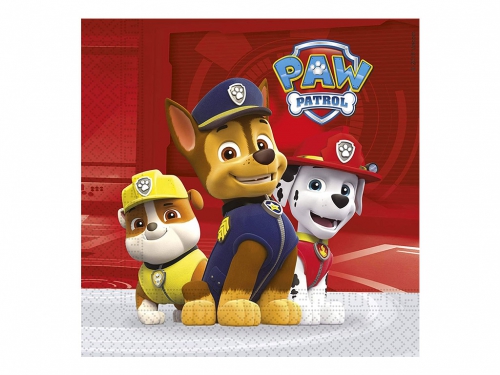 TOVAGLIOLI PAW PATROL CM 33X133 20 89777