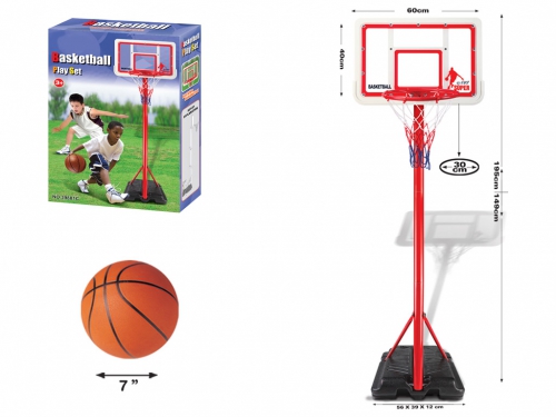 BASKET CON PIANTANA CM 195