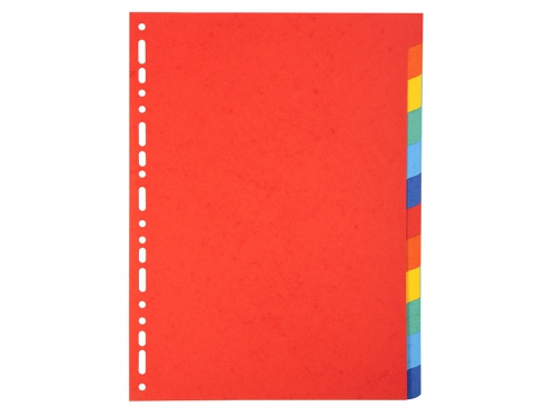DIVISORI 12 TACCHE COLORATI A4 220G
