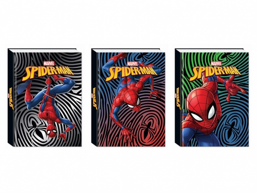 DIARIO AGENDA 10 MESI SPIDERMAN