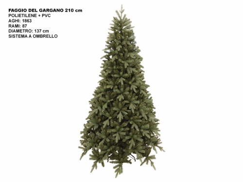 ALBERO FAGGIO DEL GARGANO CM 210