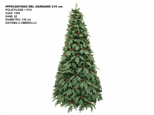 ALBERO IPPOCASTANO DEL GARG.CM210 PIGNE