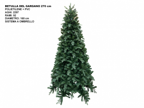 ALBERO BETULLA DEL GARGANO CM 270