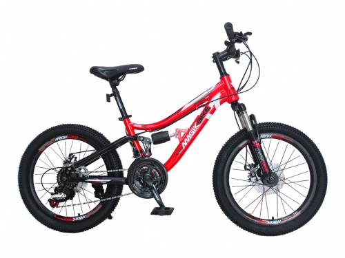 BICI BAMBINO MTB FULL 20 B137