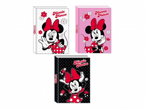 DIARIO AGENDA 10 MESI MINNIE 50C502300